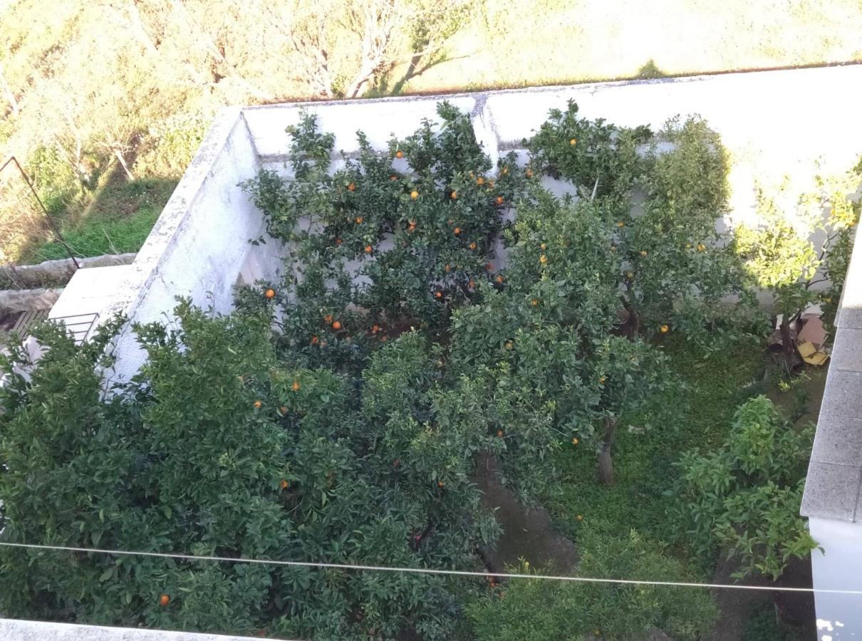 Villa Lilla Ostuni Esterno foto